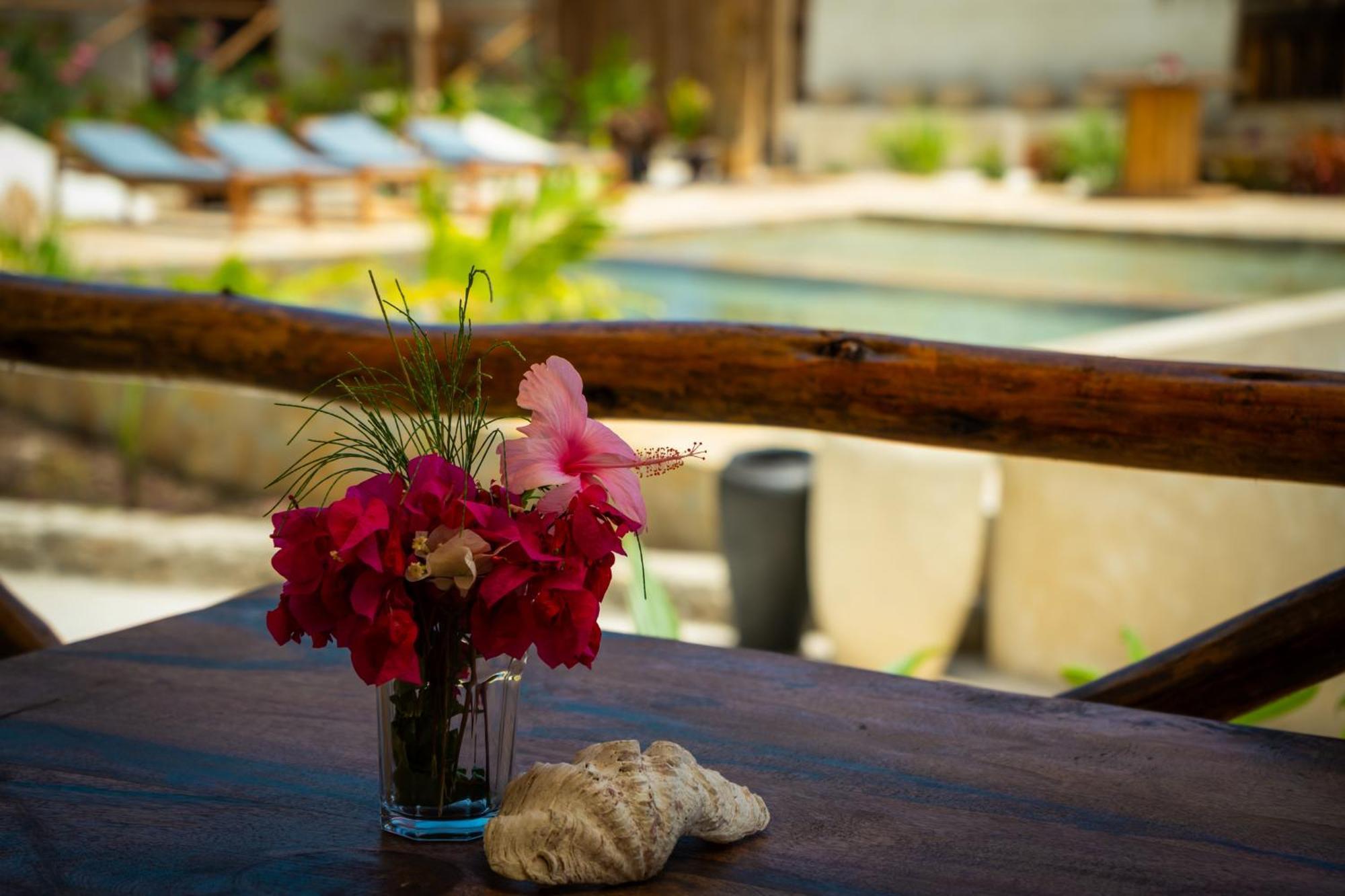 Hotel Blooming Zanzibar Jambiani  Esterno foto